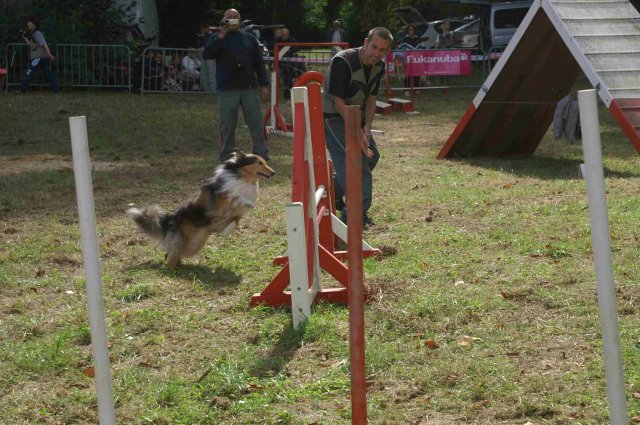 foire-haricots 2011-09-17et18